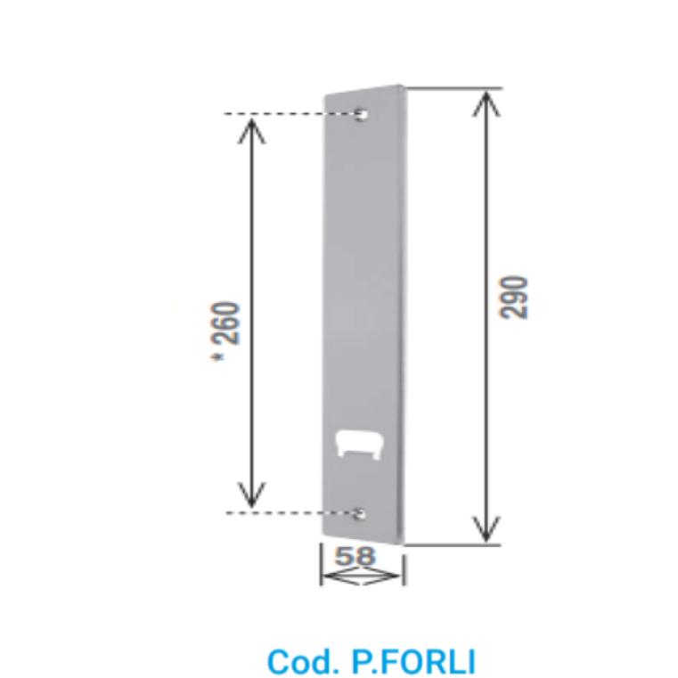 PLACCA_P.FORLI.jpg