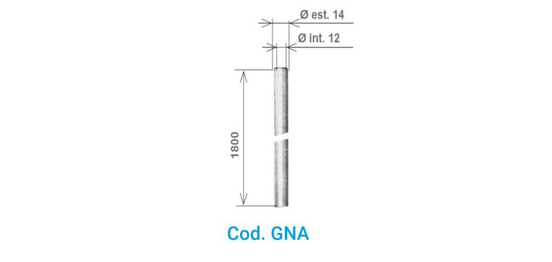 GUAINA_GNA.jpg