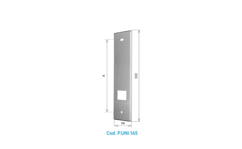 PLACCA_PUNI165.jpg